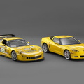 chevrolet-corvette-c6-r-race-car-4868